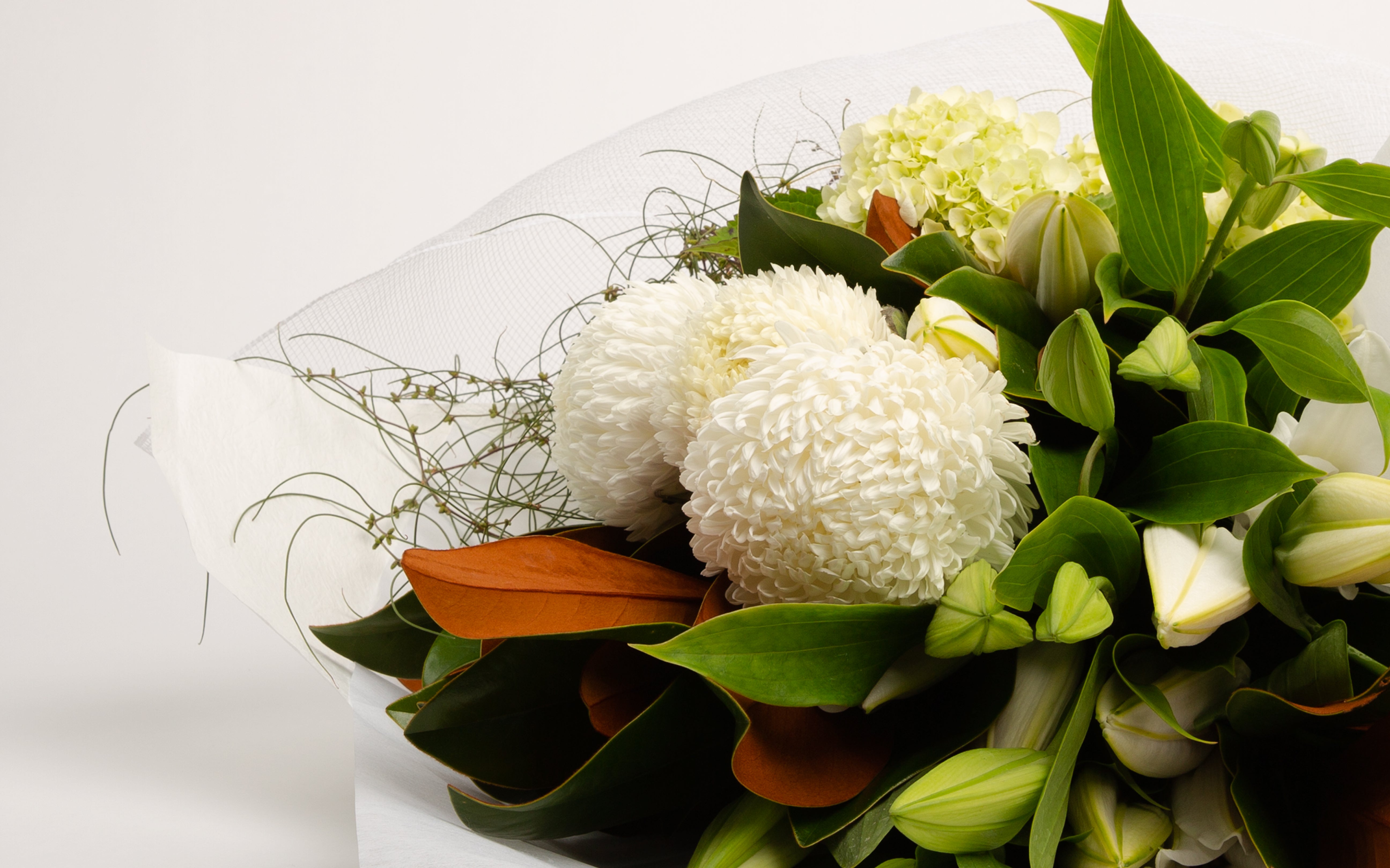Thinking Of You Flowers & Gifts Delivered Panache Flowers