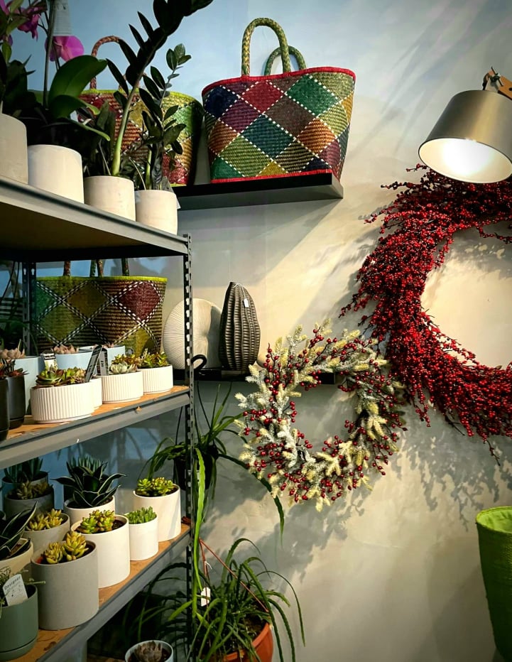 Panache Plants Panache Flowers