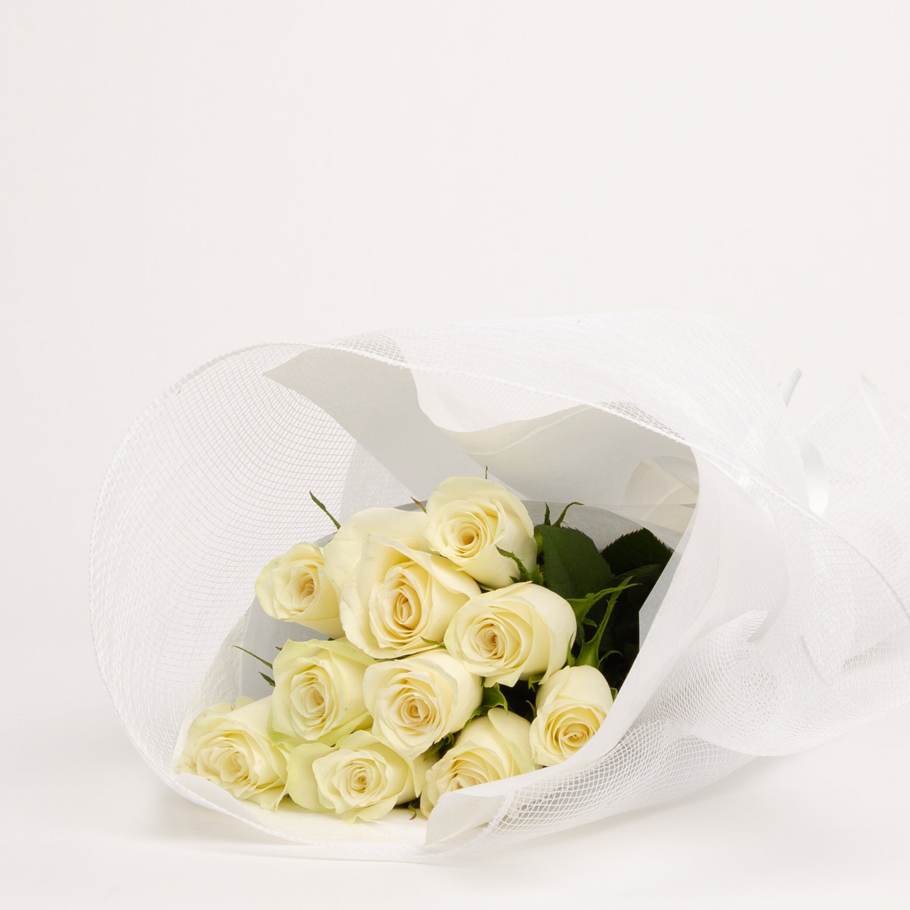 40 Count Roses 40cm Roses | Melbourne Delivery | Panache Flowers