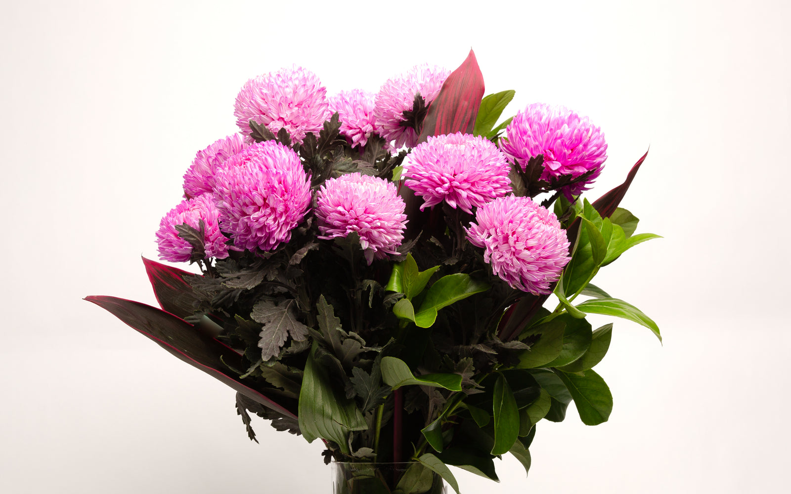 Valentine's Day Flowers & Gifts Melbourne Delivery Panache Flowers