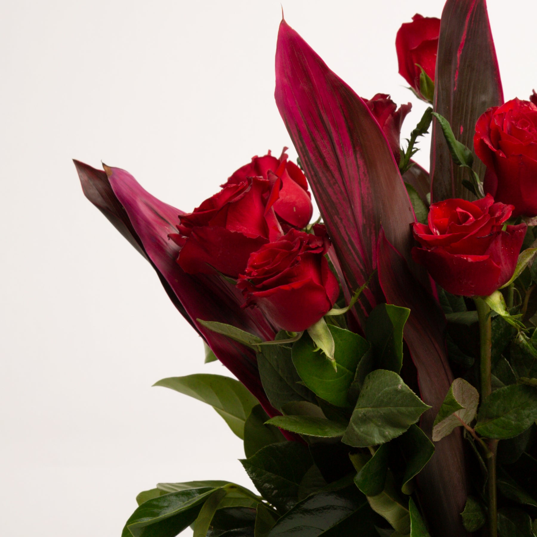 Number 40 Roses 40cm Roses | Melbourne Delivery | Panache Flowers